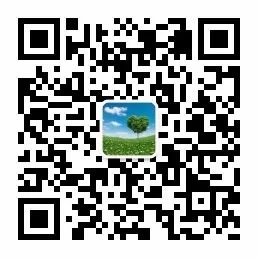 八年級英語上冊【期中考試作文】必背范文整理，復習抓緊過一遍！